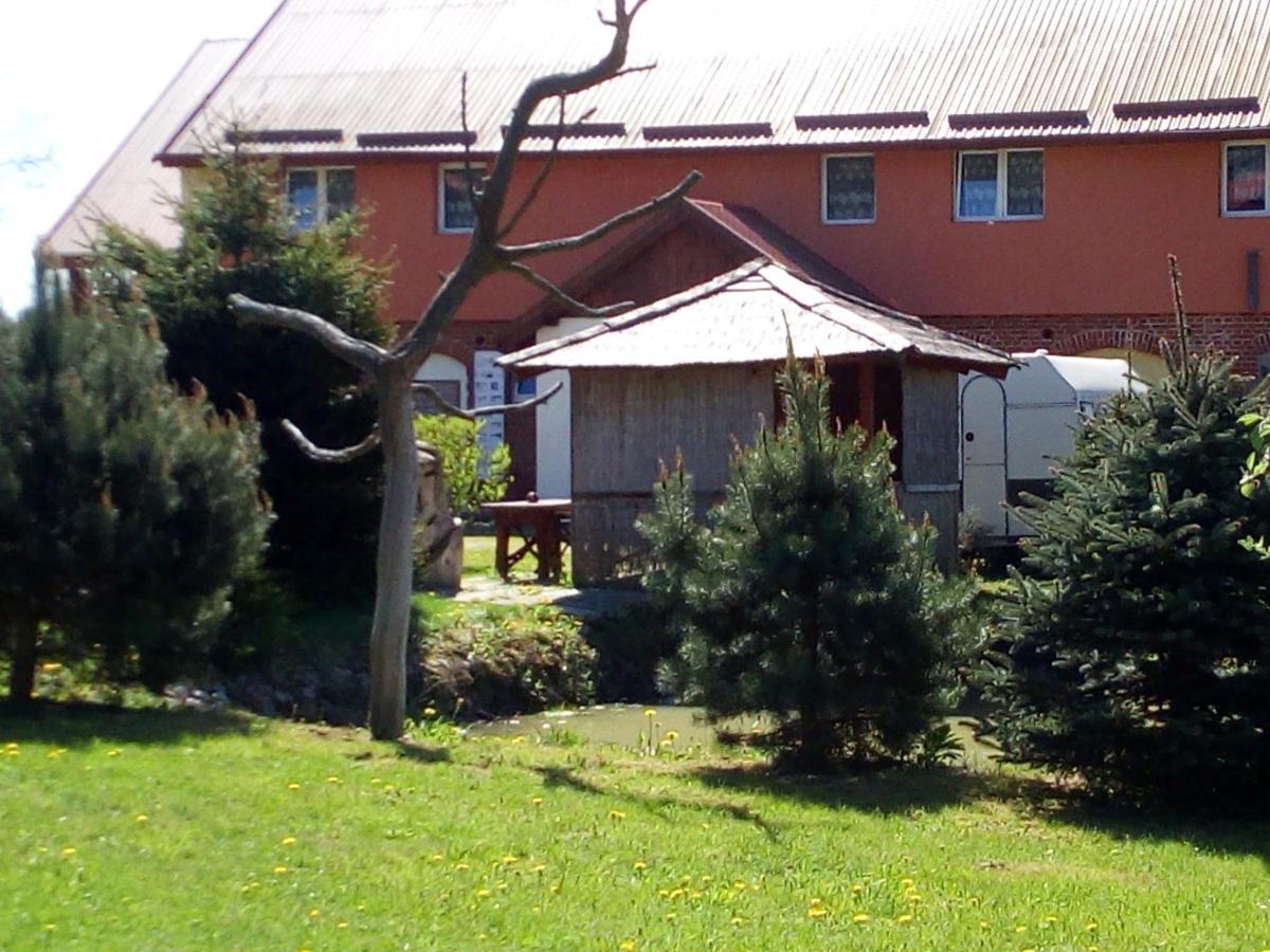 Agroturystyka Andrzejowka Czerniki Екстериор снимка