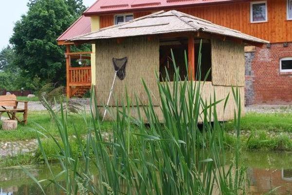 Agroturystyka Andrzejowka Czerniki Екстериор снимка